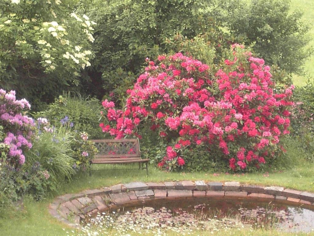 Ferienhaus in Obernsees mit Garten, Terrasse und Grill photo 1