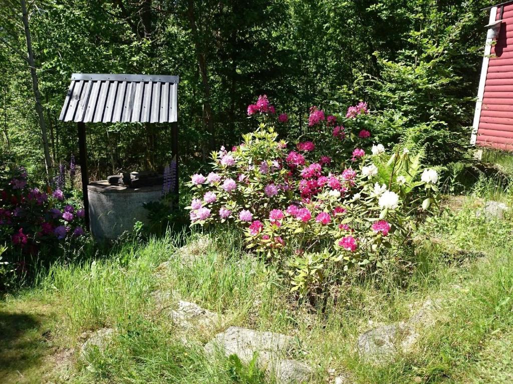 Typisches Holzhaus mit überdachter Terrasse auf weitläufigen Grundstück in einem Waldgebiet am See photo 4