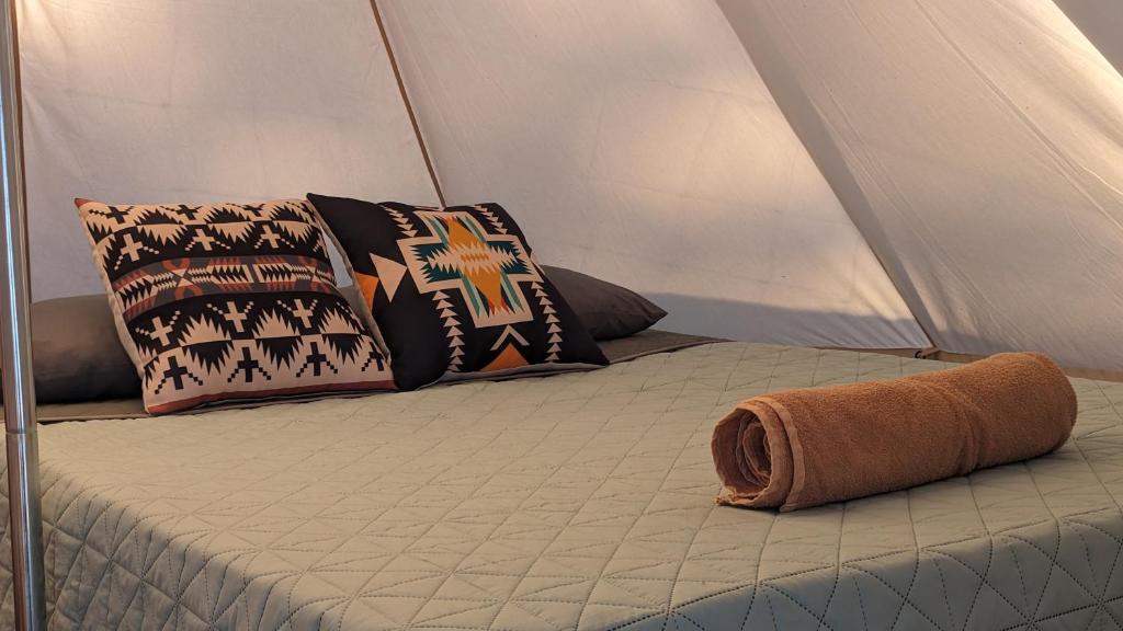 La Window Glamping photo 3