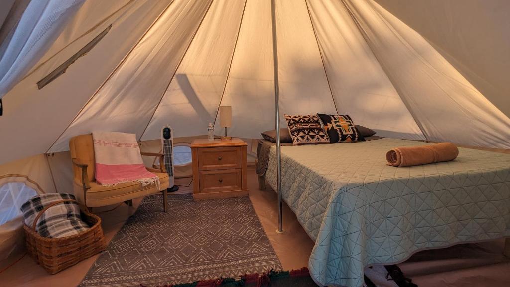 La Window Glamping photo 1