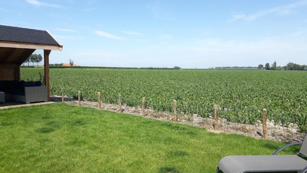 Ferienhaus für 6 Personen ca 72 qm in Stavenisse, Zeeland Küste von Zeeland photo 3