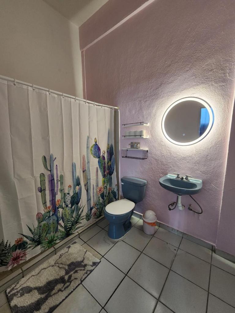 Cozy 1 Bed Apartment in La Noria photo 3
