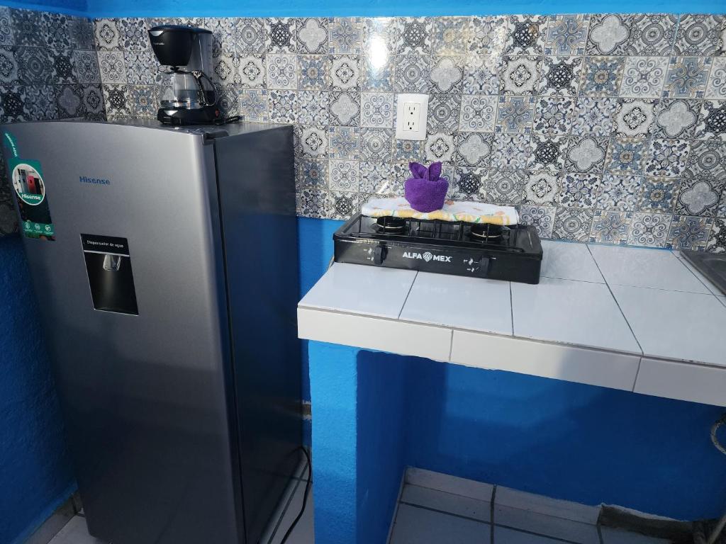 Cozy 1 Bed Apartment in La Noria photo 4