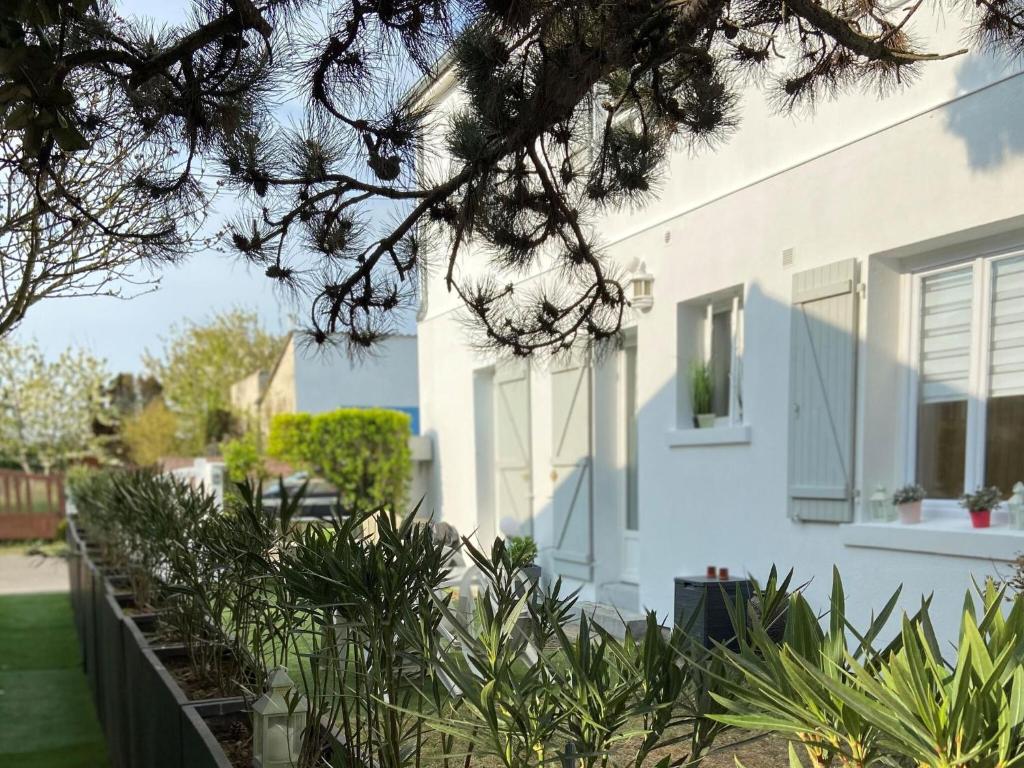 Holiday flat Cayeux-sur-Mer - NMD05008-P photo 1