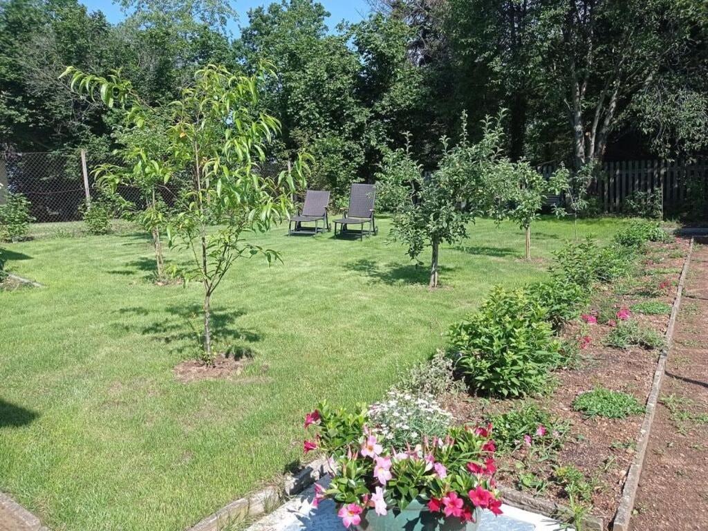 Fantastic apartment in Radebeul photo 2