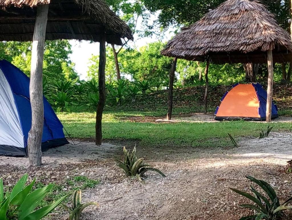 Mafia Ocean View Beach Camp photo 1