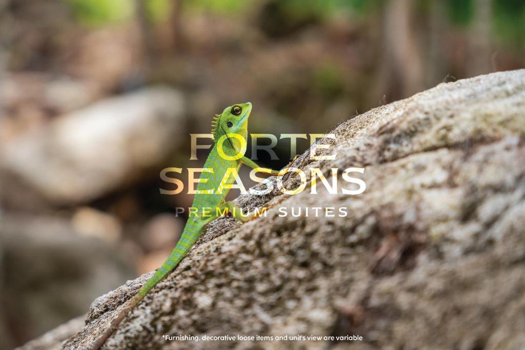 Scandi Home - Enclave Nature Suites
