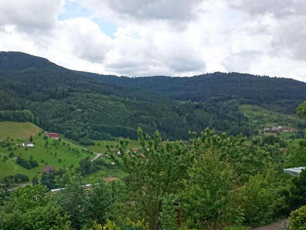 Lovely apartment in Bad Peterstal photo 4