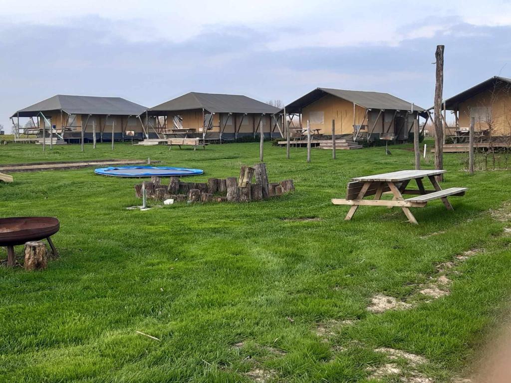 Glamping op het Zeugekot photo 2
