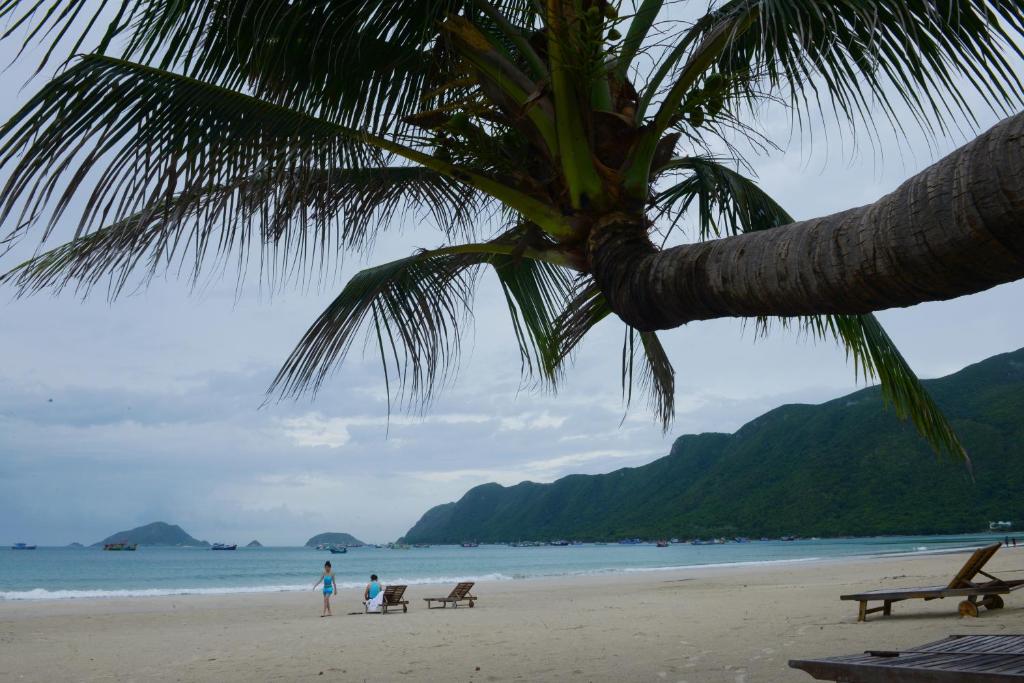 Côn Đảo Resort 