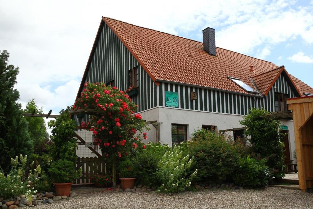 Haus Wildgans Ferienwohnung Rose