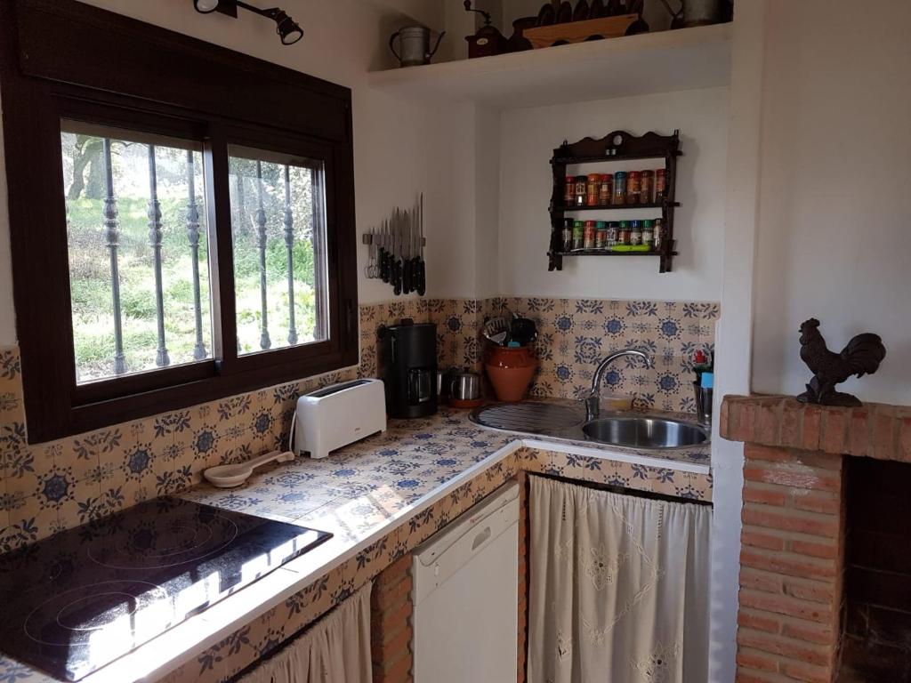 Casa de la Fuente photo 2