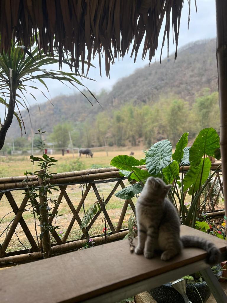 NHÀ CỦA CHI - HOMESTAY FOOD & COFFEE