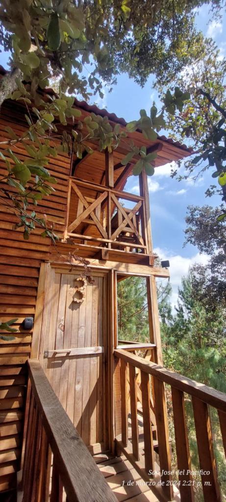 Cabaña en el Bosque de San José del Pacífico 3