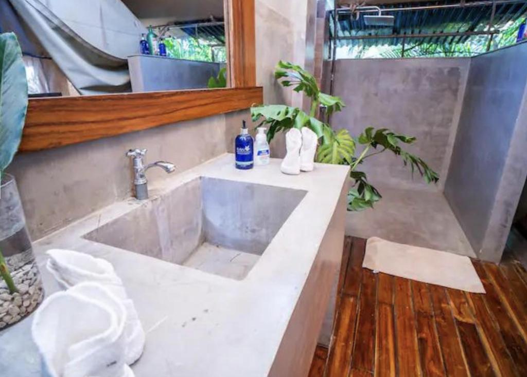 Curiol Boutique Hotel & Lounge photo 1