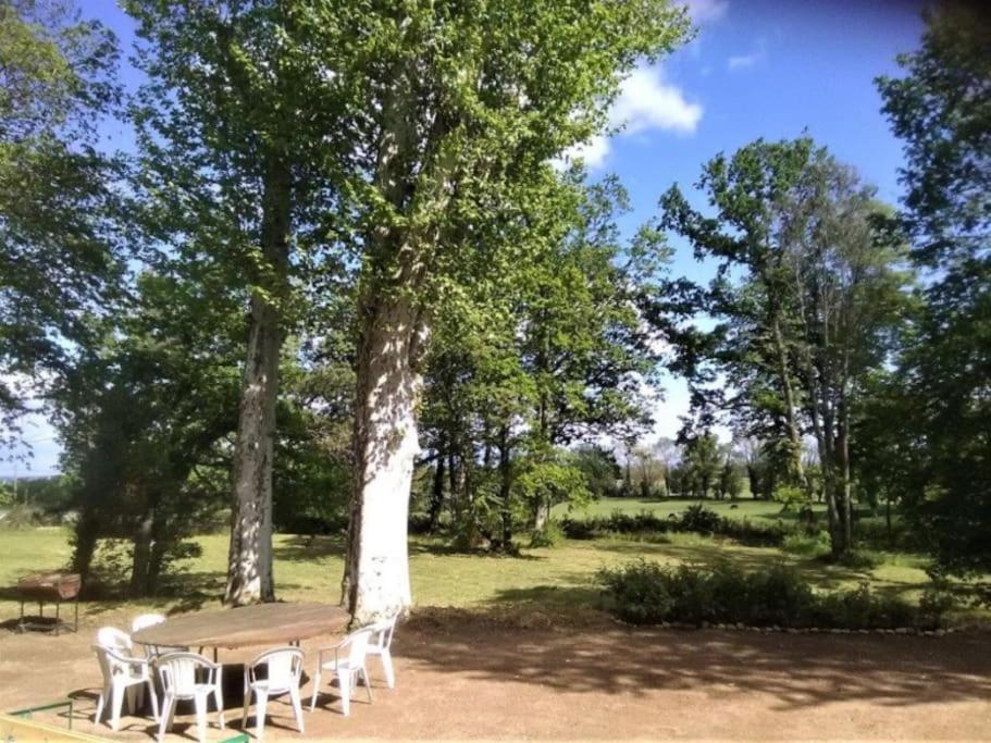 Château Monvallon photo 2