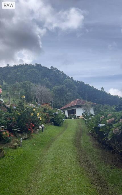 Sitio com piscina natural e cascata, com linda vista em Lumiar. photo 3