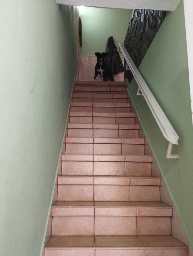 Casa petfriendly photo 4