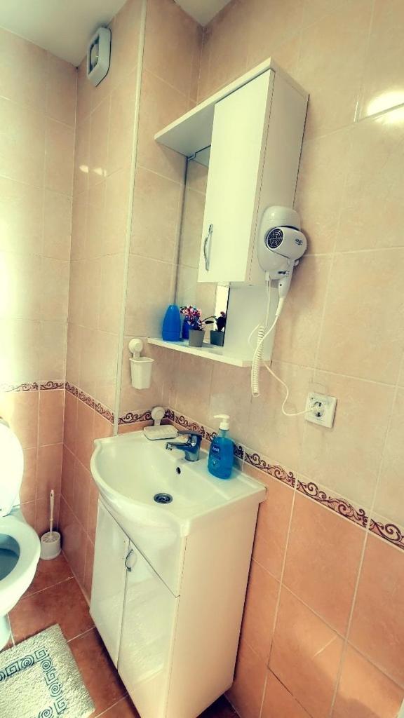 Studio Apartman Ban photo 2