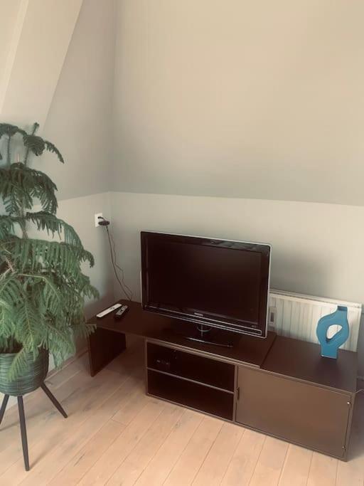 Main Street beach apartment photo 2
