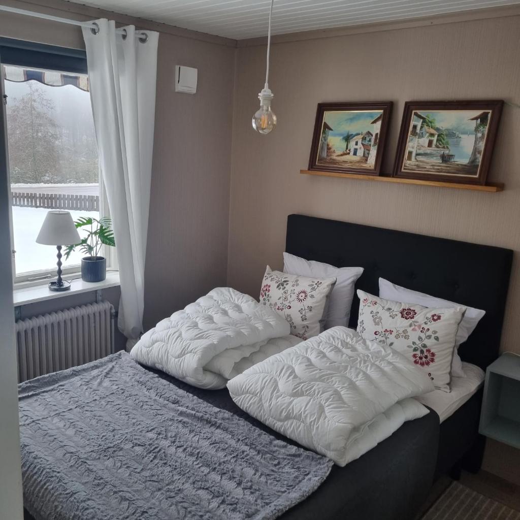 Anitas Villa i Kristdala