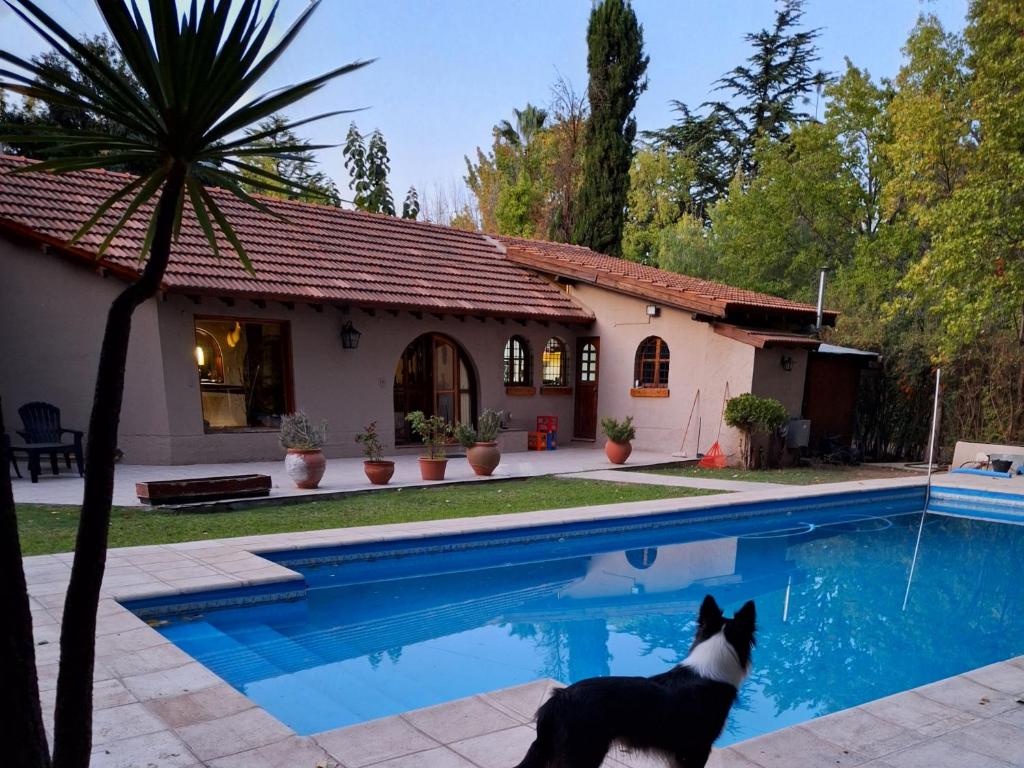 Como en casa photo 1