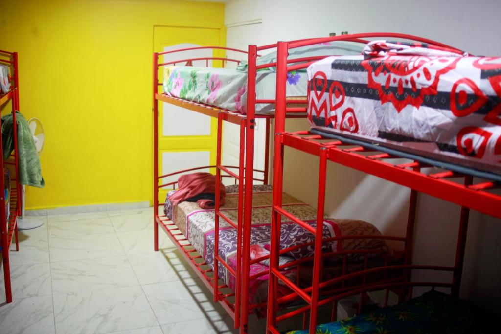 Joe's Layover Hostel Boquete photo 2