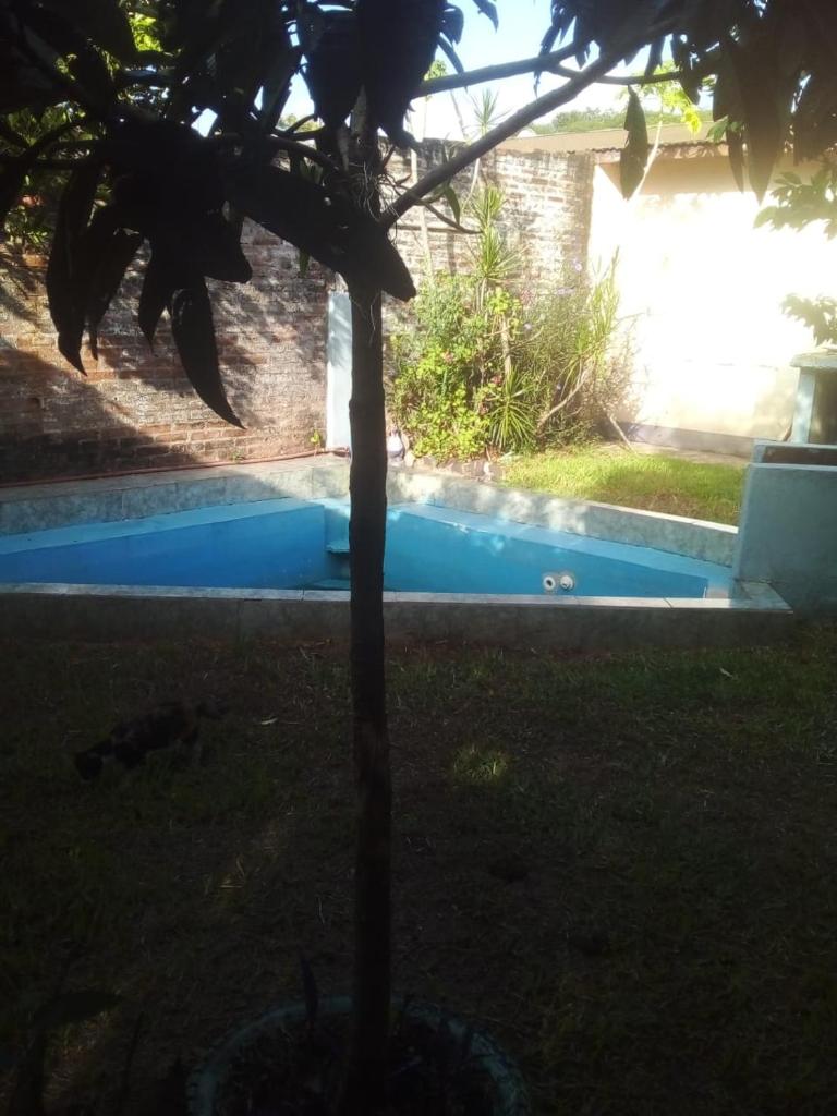 Argentita photo 2