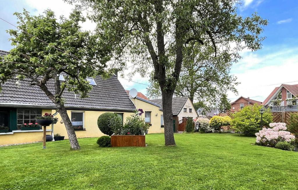 Amazing Apartment In Ueckermnde seebad With Kitchen