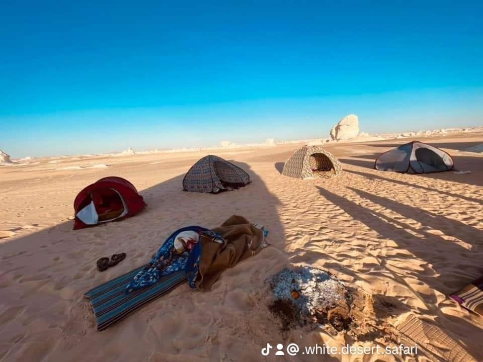 White desert Egypt safari photo 4