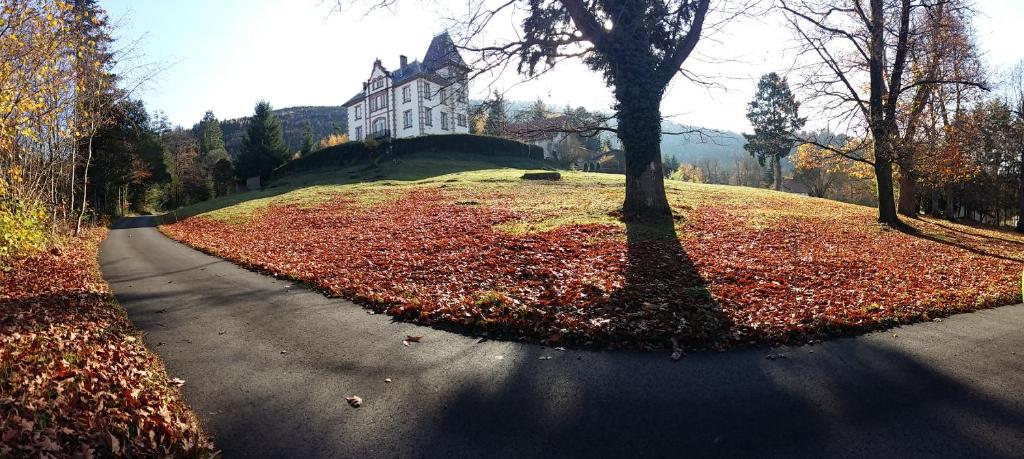 Château Robert photo 3