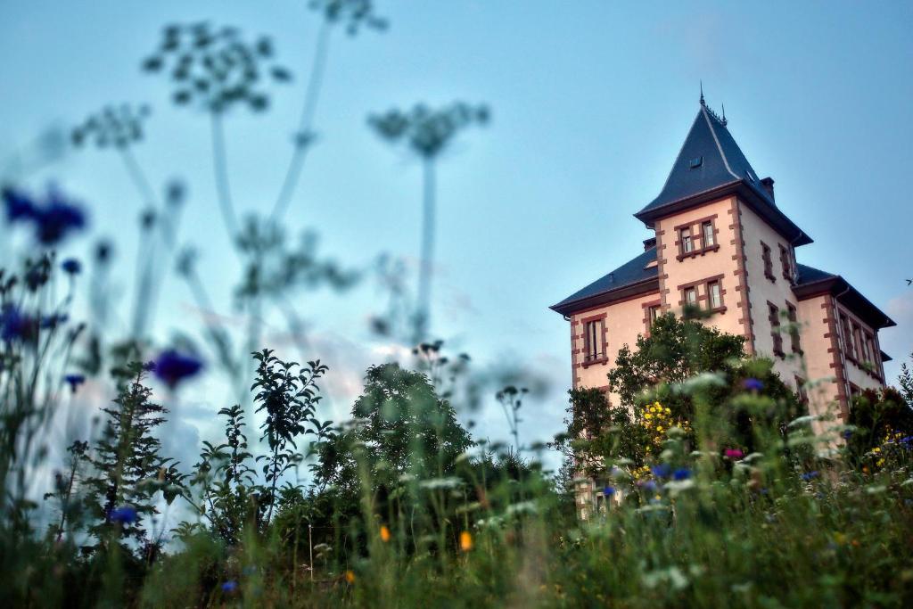 Château Robert photo 2