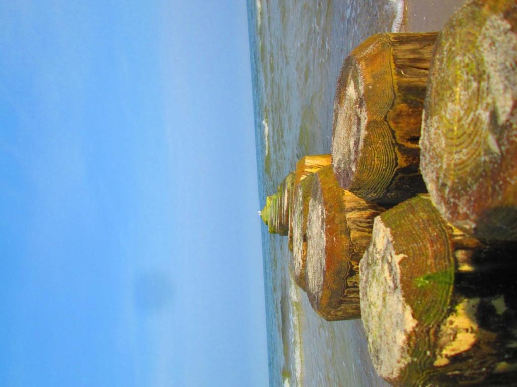 Lod - "Berliner Stube" photo 4
