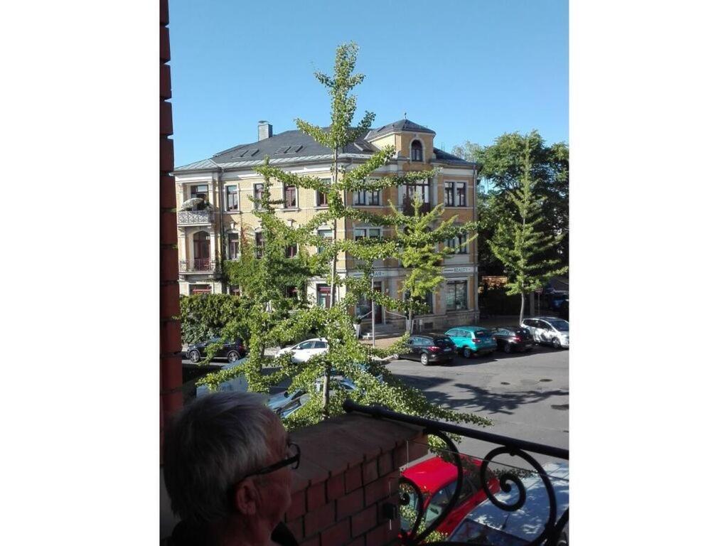 Charming apartment in Radebeul photo 3