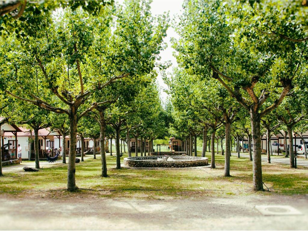 Holiday home Vakantiepark Isábena 6 photo 2
