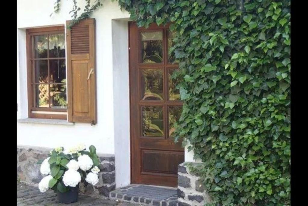 Ferienhaus in Bernsfeld mit Gepflegtem Garten - b48599 photo 3