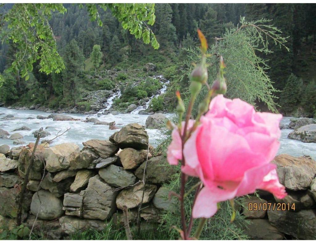 River Front Guest House Aru Pahalgam photo 1
