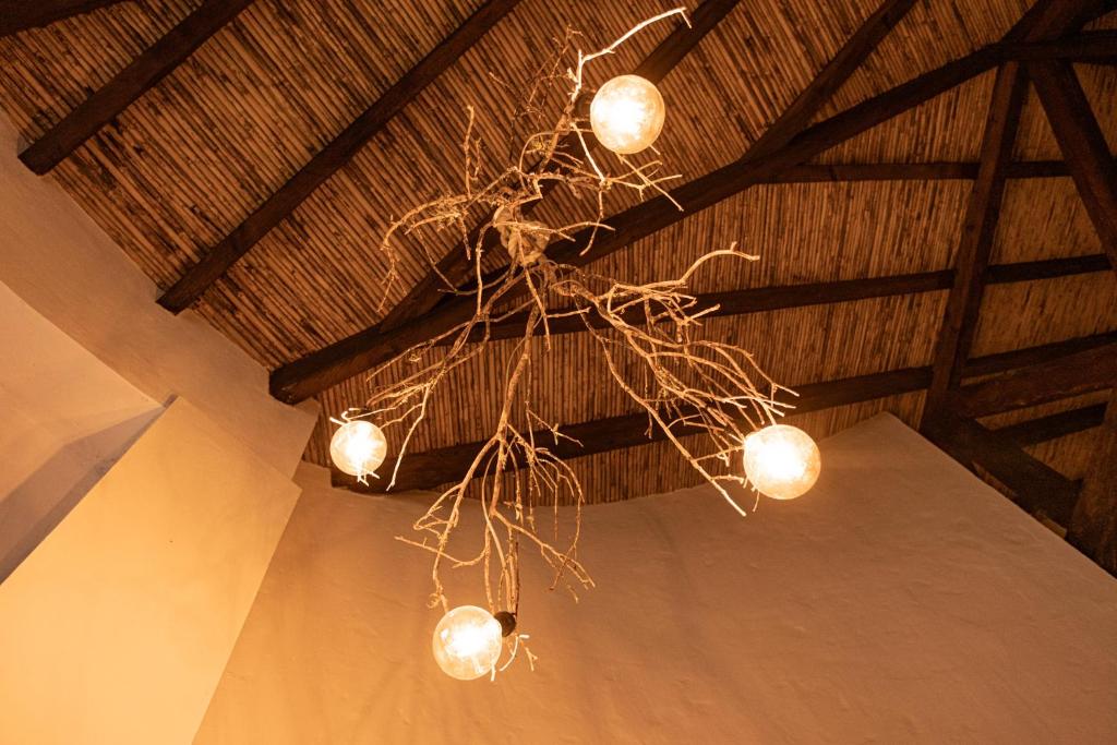 Pietra Hotel photo 4