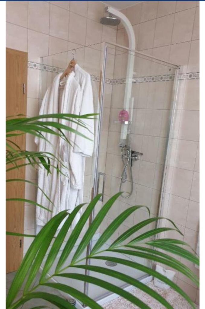 Ferienwohnung Sonnenschein photo 4
