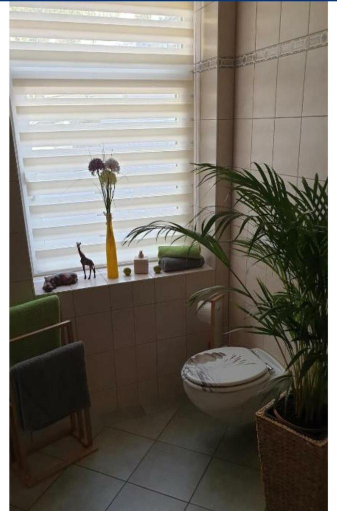 Ferienwohnung Sonnenschein photo 3