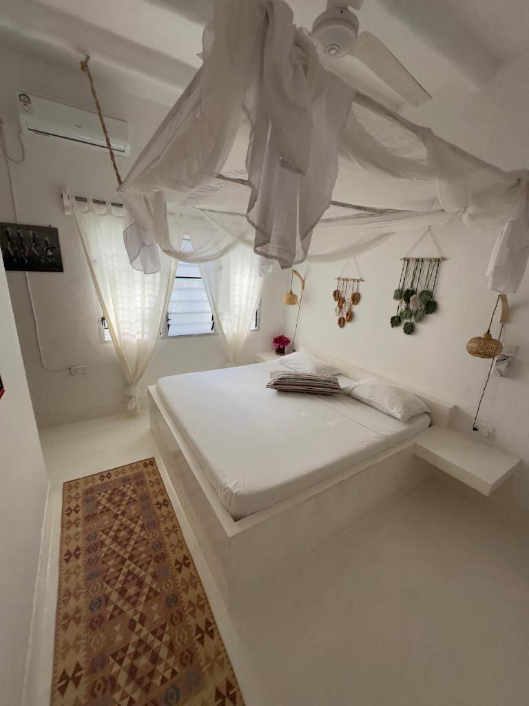 Chris House solo camere photo 1