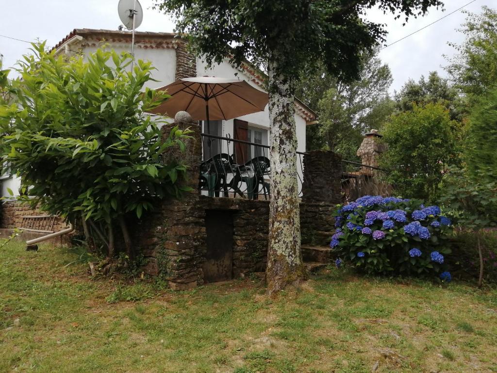 Maison avec jardin de 600 m2 au cœur des cévennes photo 2