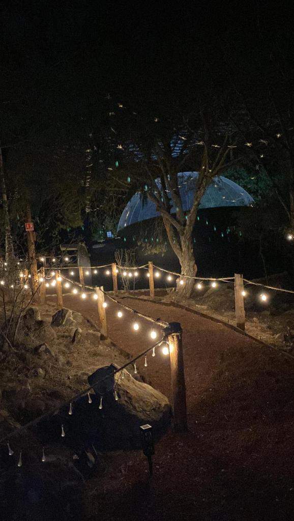 MEYAHUALLI GLAMPING photo 2