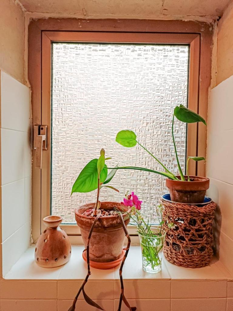 Private Double Room in a Cute Townhouse in Maltese Village Close To St Peters Pool photo 3