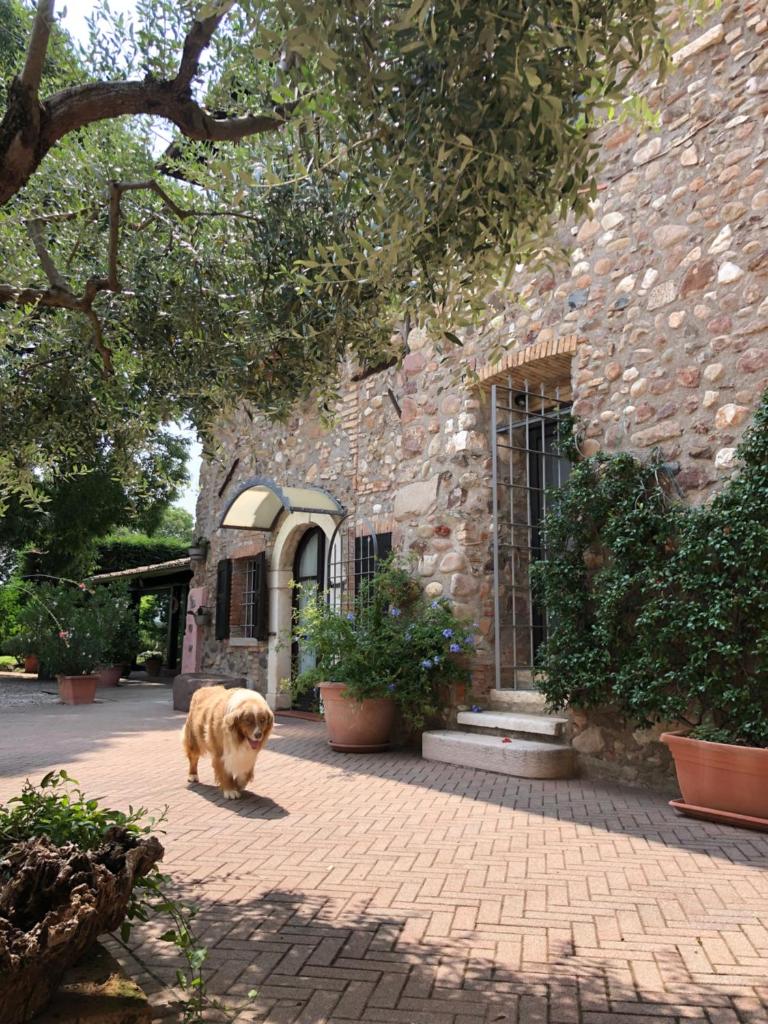 B&B Cascina Mattarelle photo 3