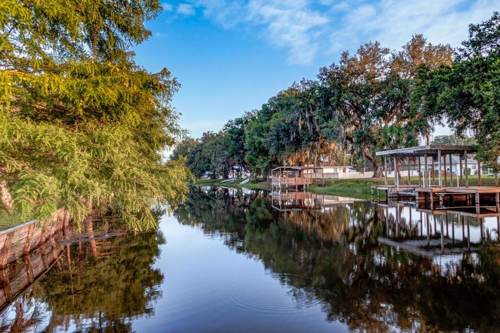 The Water Lily Lodge photo 2