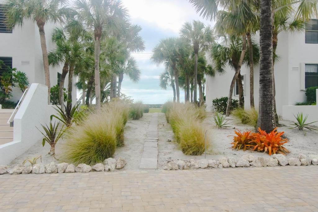 Island Breeze Sanctuary photo 4
