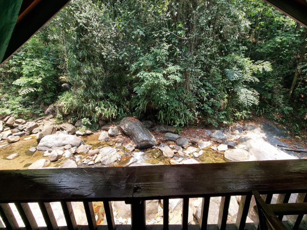 Cave N Falls Nature Resort & Water Park photo 3