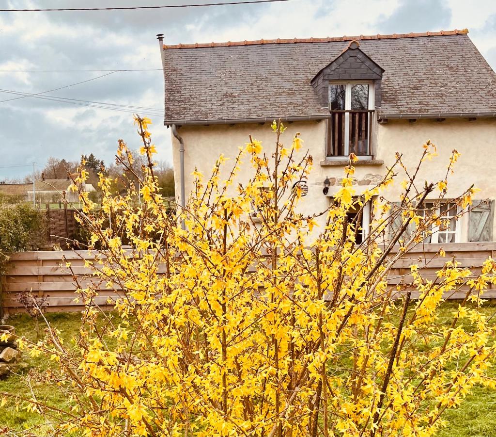 Le Châtaignier photo 2