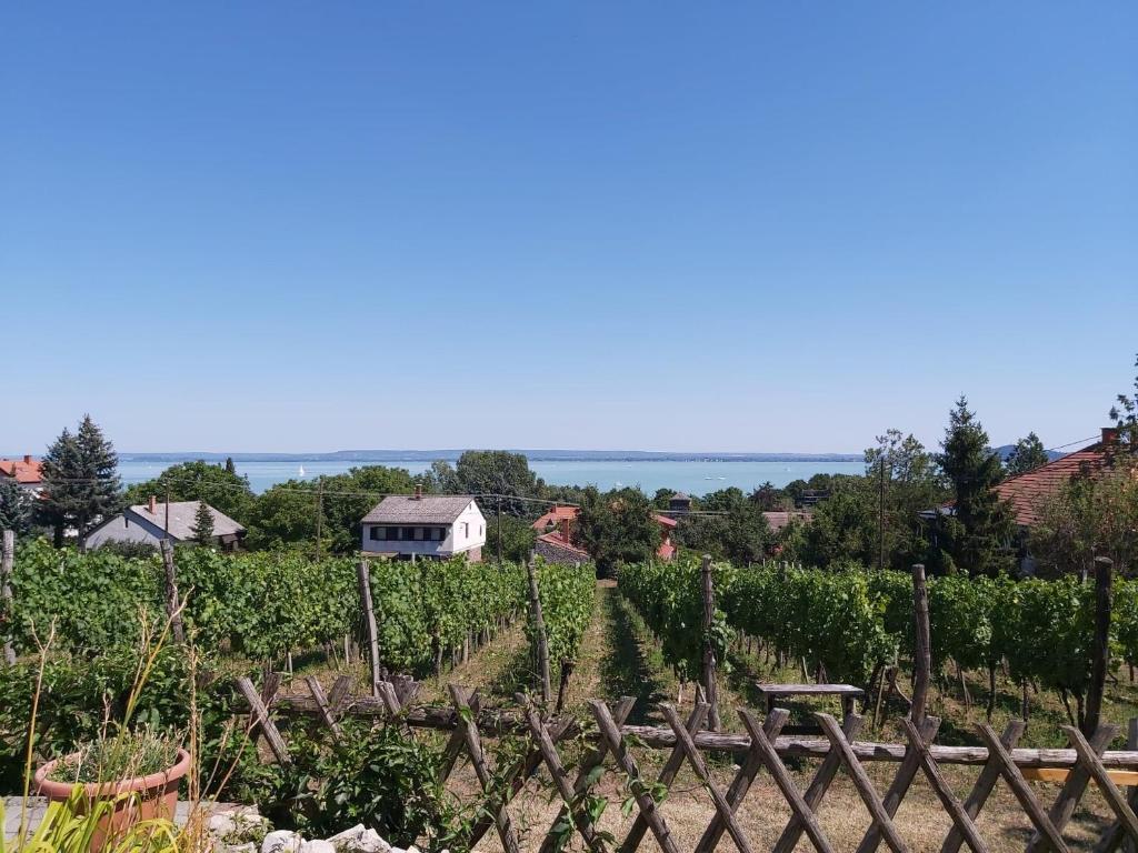 Balatoni Panoráma Apartman - Bacchus Badacsony photo 3